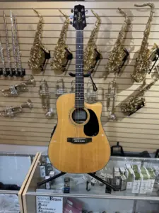 Takamine EG530C