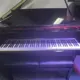 Yamaha DCF6 7' Disklavier Enspire PRO Key Bed