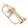 Flugel Horn Image