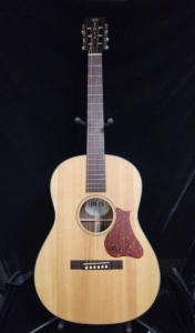 used Iris guitar